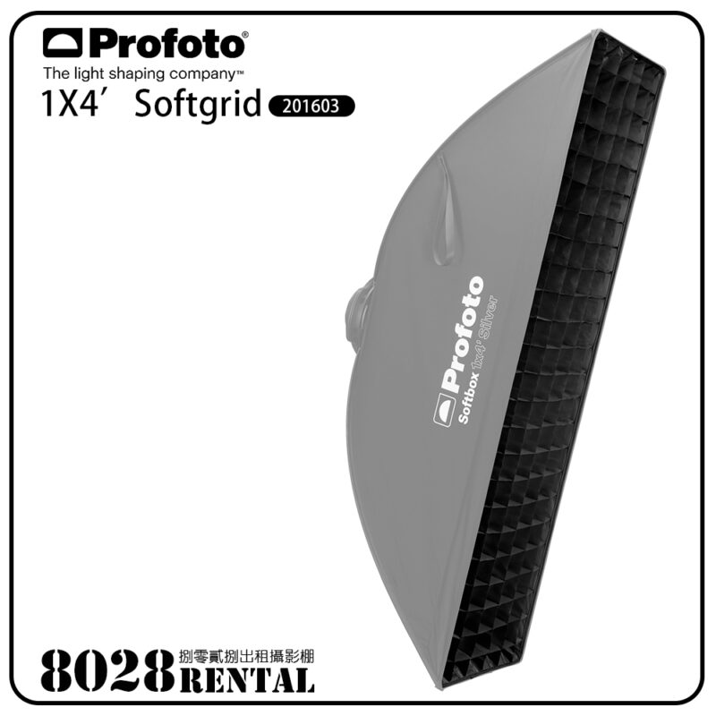 PROFOTO SOFTGRID 2X3' Silver 201603-1