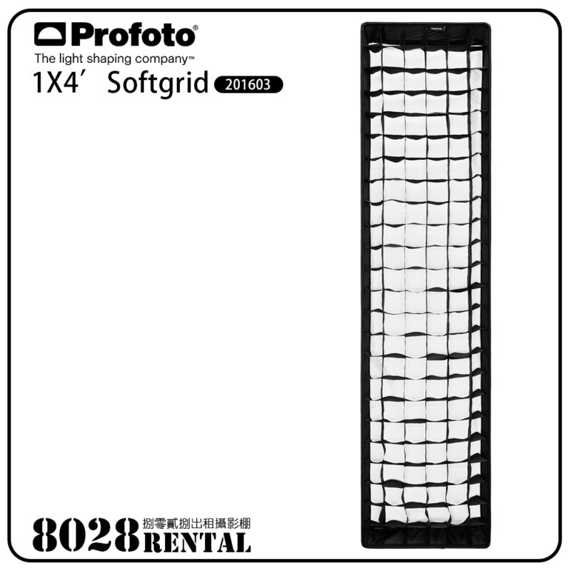 PROFOTO SOFTGRID 2X3' Silver 201603-2